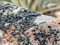 Natural Libethenite Crystals On Dolomite Matrix Specimens x 4 From Shituru, Congo