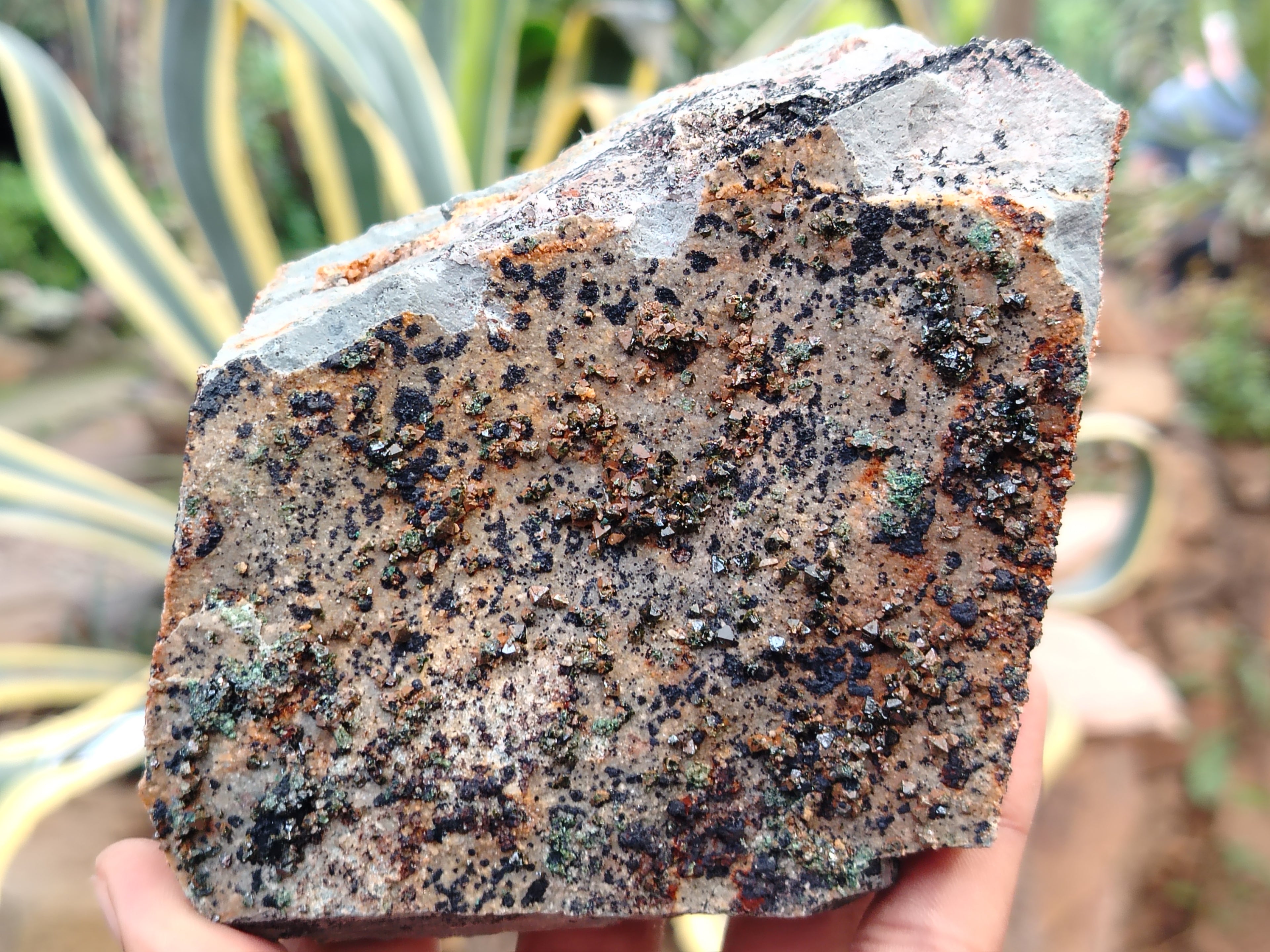 Natural Libethenite Crystals On Dolomite Matrix Specimens x 4 From Shituru, Congo - Toprock Gemstones and Minerals 