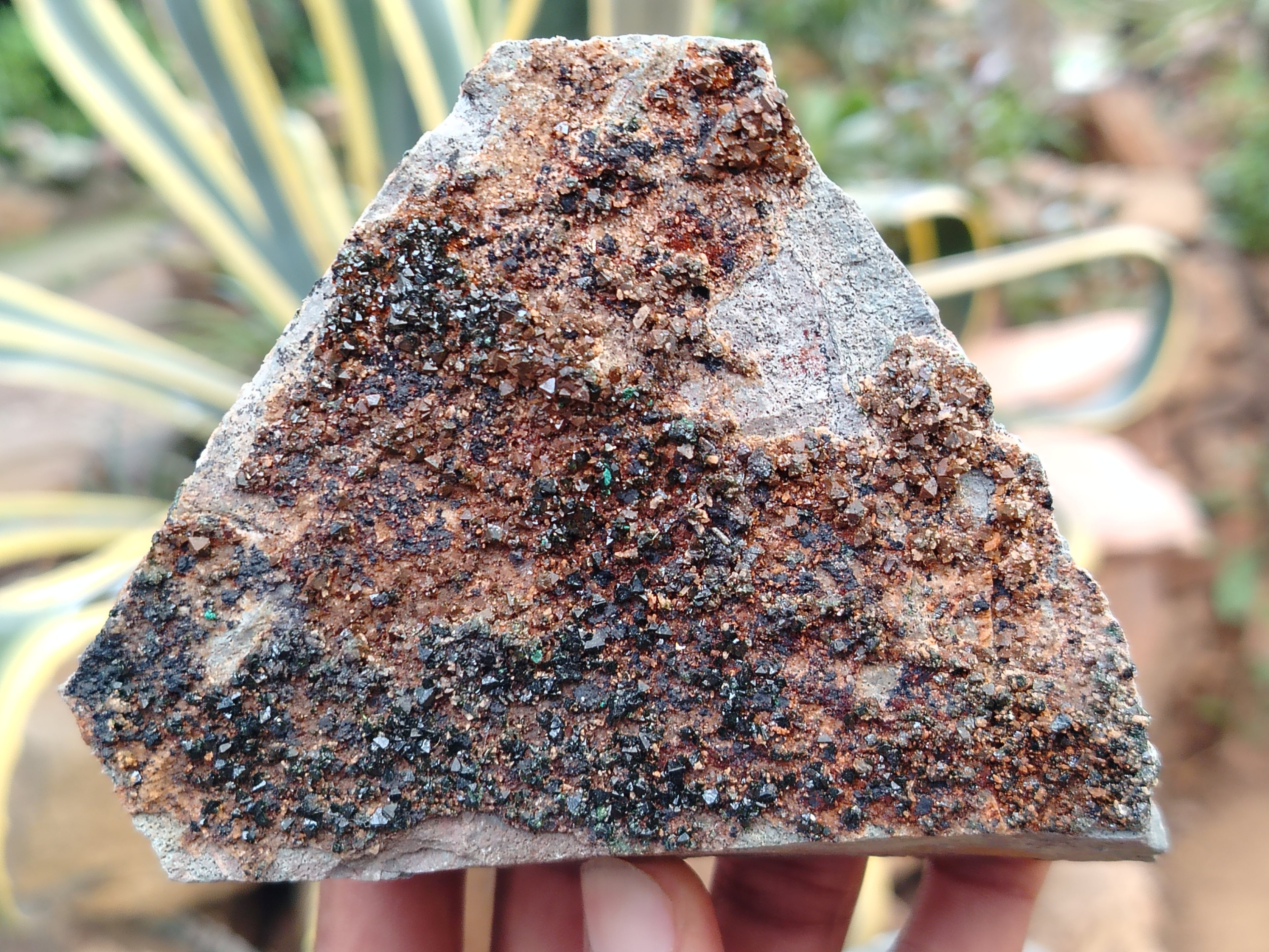 Natural Libethenite Crystals On Dolomite Matrix Specimens x 4 From Shituru, Congo - Toprock Gemstones and Minerals 