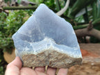 Natural Blue Lace Agate Geode Specimens x 2 From Malawi - Toprock Gemstones and Minerals 