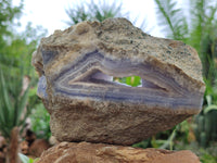Natural Blue Lace Agate Geode Specimens x 2 From Malawi - Toprock Gemstones and Minerals 