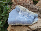 Natural Blue Lace Agate Geode Specimens x 2 From Malawi - Toprock Gemstones and Minerals 