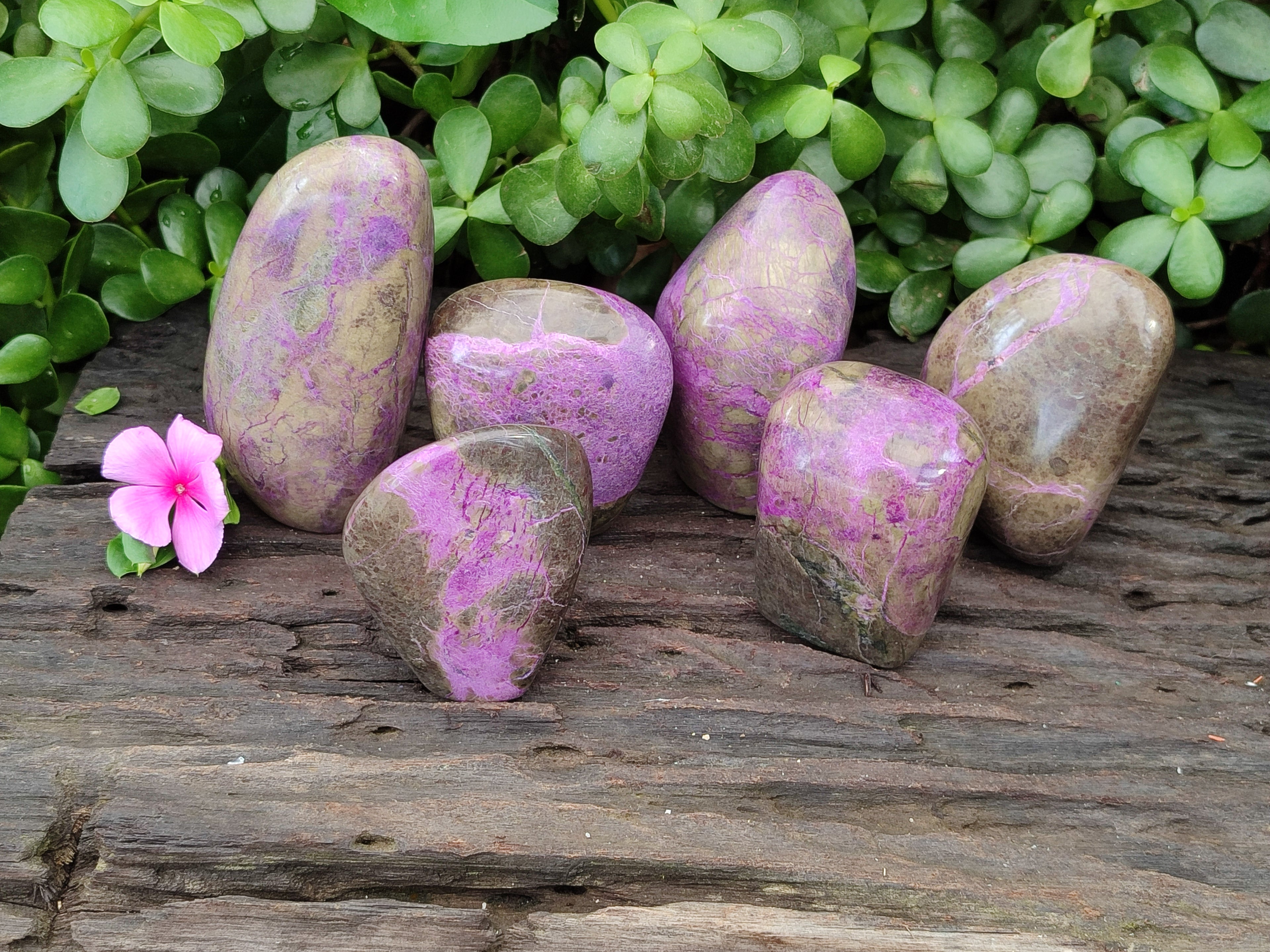 Polished Stichtite Standing Free Forms x 6 From Barberton, South Africa - Toprock Gemstones and Minerals 