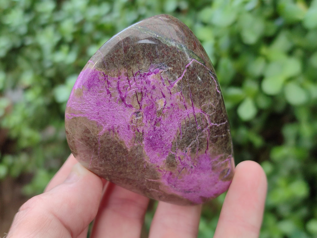 Polished Stichtite Standing Free Forms x 6 From Barberton, South Africa - Toprock Gemstones and Minerals 