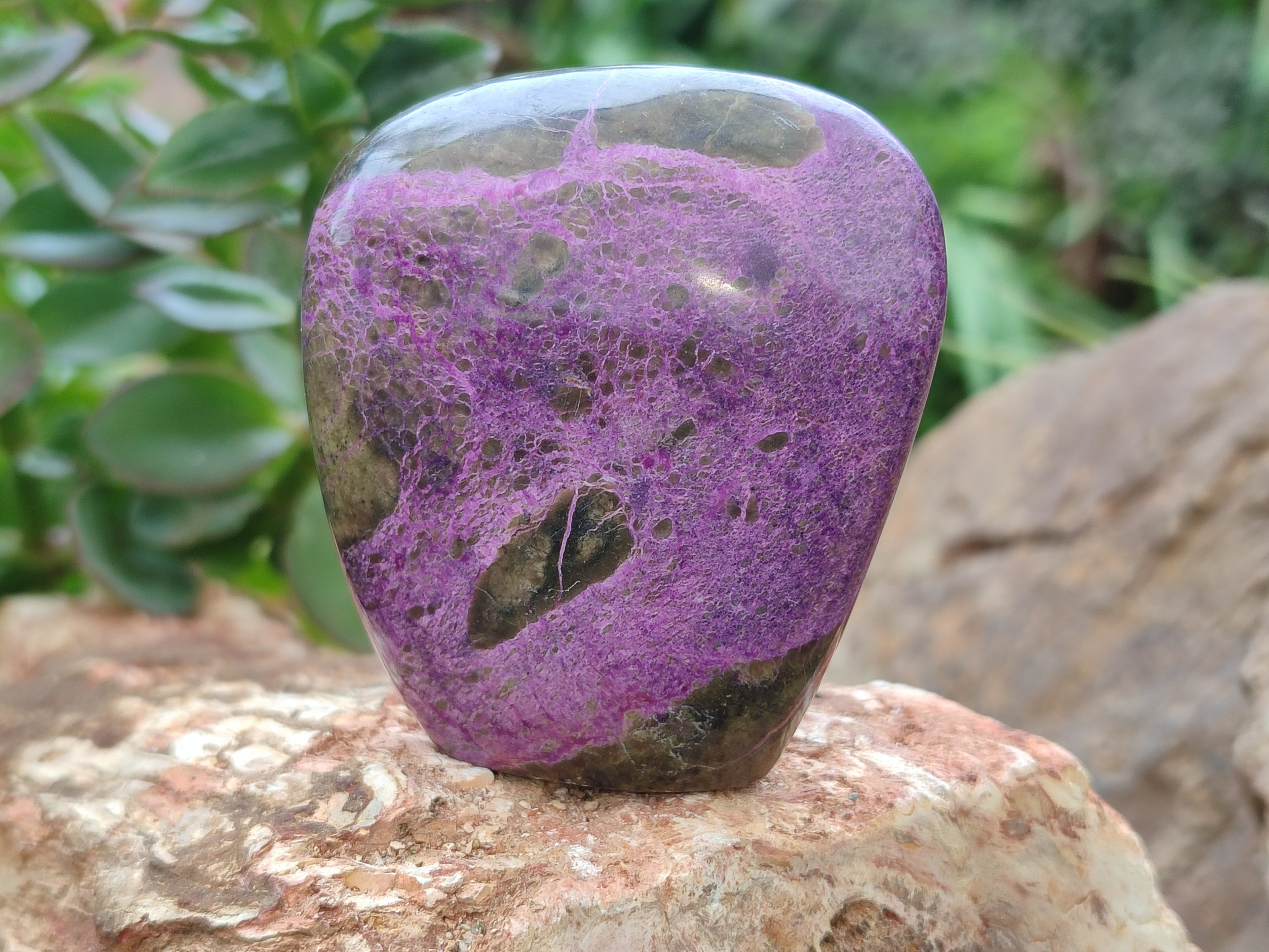 Polished Stichtite Standing Free Forms x 6 From Barberton, South Africa - Toprock Gemstones and Minerals 