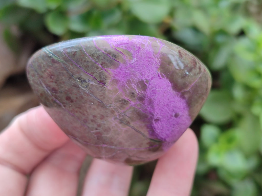Polished Stichtite Standing Free Forms x 6 From Barberton, South Africa - Toprock Gemstones and Minerals 