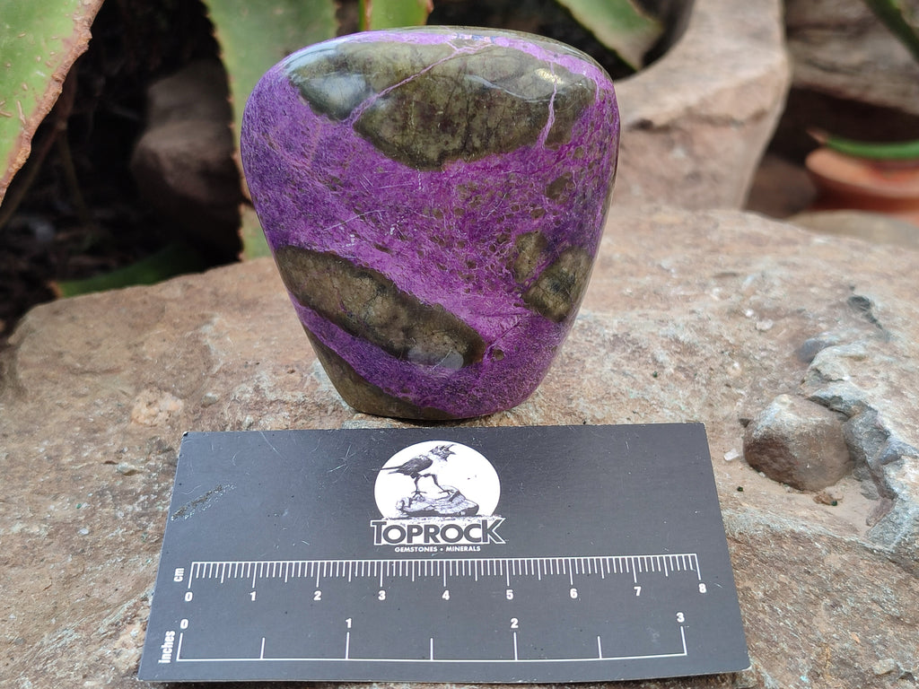 Polished Stichtite Standing Free Forms x 6 From Barberton, South Africa - Toprock Gemstones and Minerals 