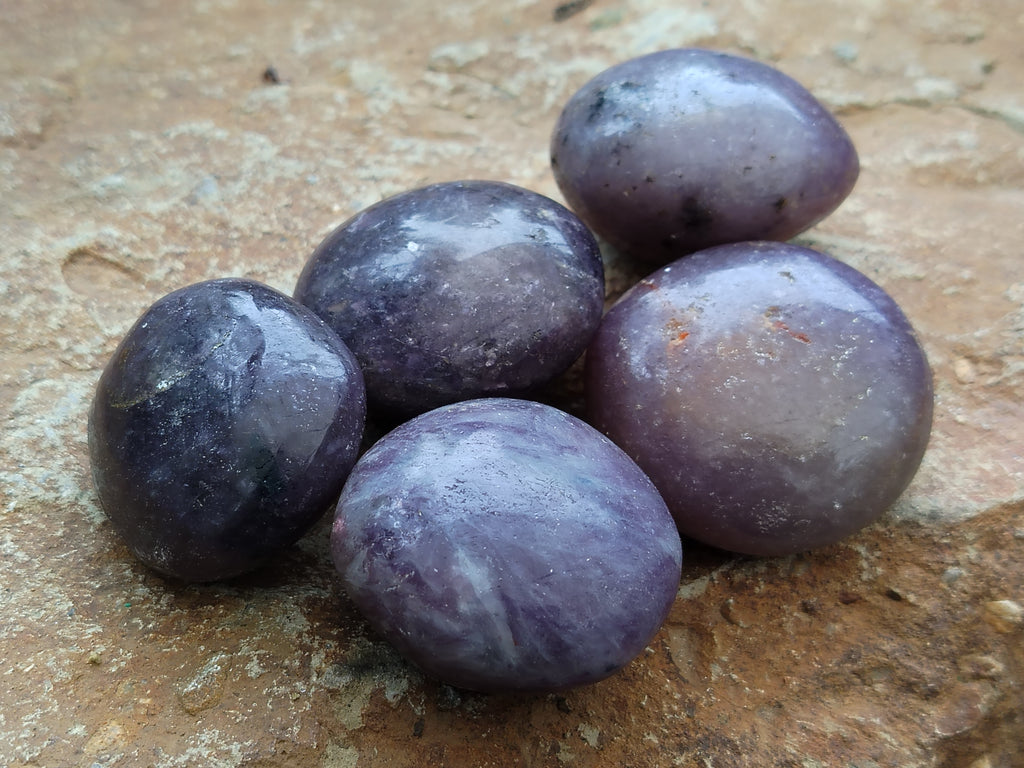 Polished Lepidolite with Pink Rubellite Palm Stones x 24 From Ambatondrazaka, Madagascar - Toprock Gemstones and Minerals 