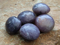 Polished Lepidolite with Pink Rubellite Palm Stones x 24 From Ambatondrazaka, Madagascar - Toprock Gemstones and Minerals 