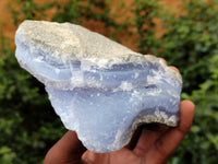 Natural Blue Lace Agate Geode Specimens x 3 From Malawi - Toprock Gemstones and Minerals 