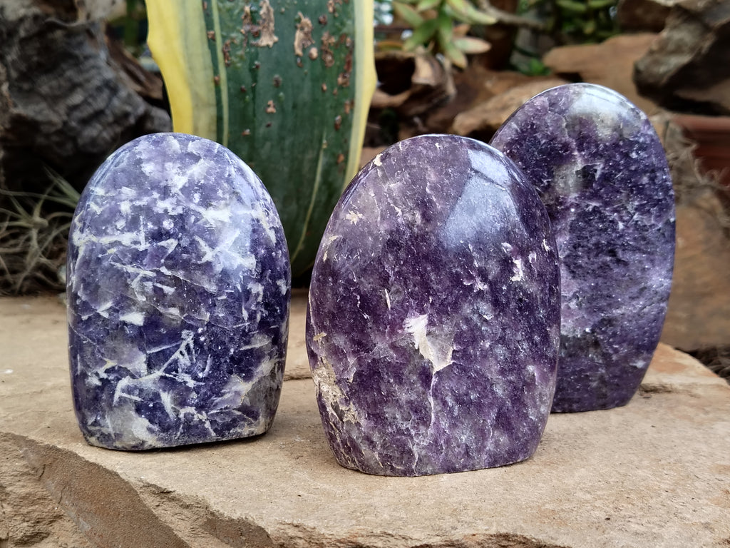 Polished Lepidolite Standing Free Forms x 6 From Ambatondrazaka, Madagascar - Toprock Gemstones and Minerals 
