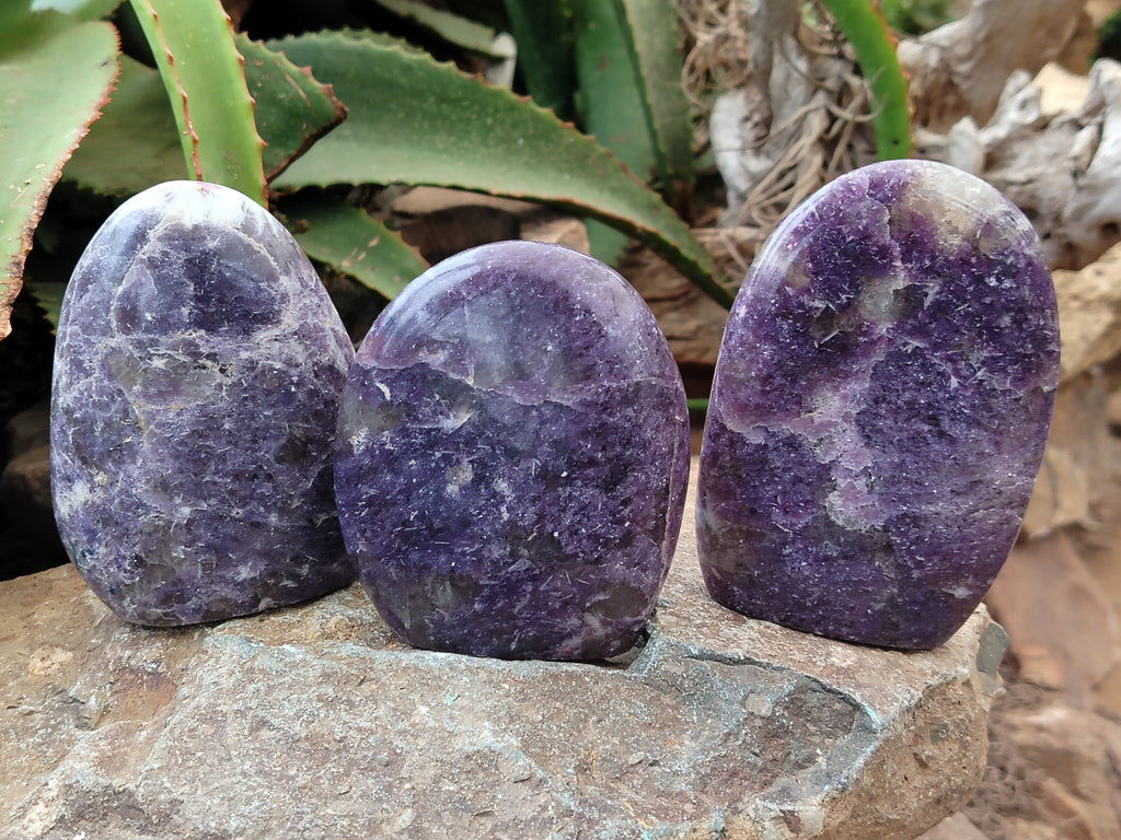 Polished Lepidolite Standing Free Forms x 6 From Ambatondrazaka, Madagascar - Toprock Gemstones and Minerals 