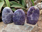 Polished Lepidolite Standing Free Forms x 6 From Ambatondrazaka, Madagascar - Toprock Gemstones and Minerals 