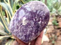 Polished Lepidolite Standing Free Forms x 6 From Ambatondrazaka, Madagascar - Toprock Gemstones and Minerals 