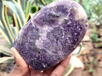 Polished Lepidolite Standing Free Forms x 6 From Ambatondrazaka, Madagascar - Toprock Gemstones and Minerals 