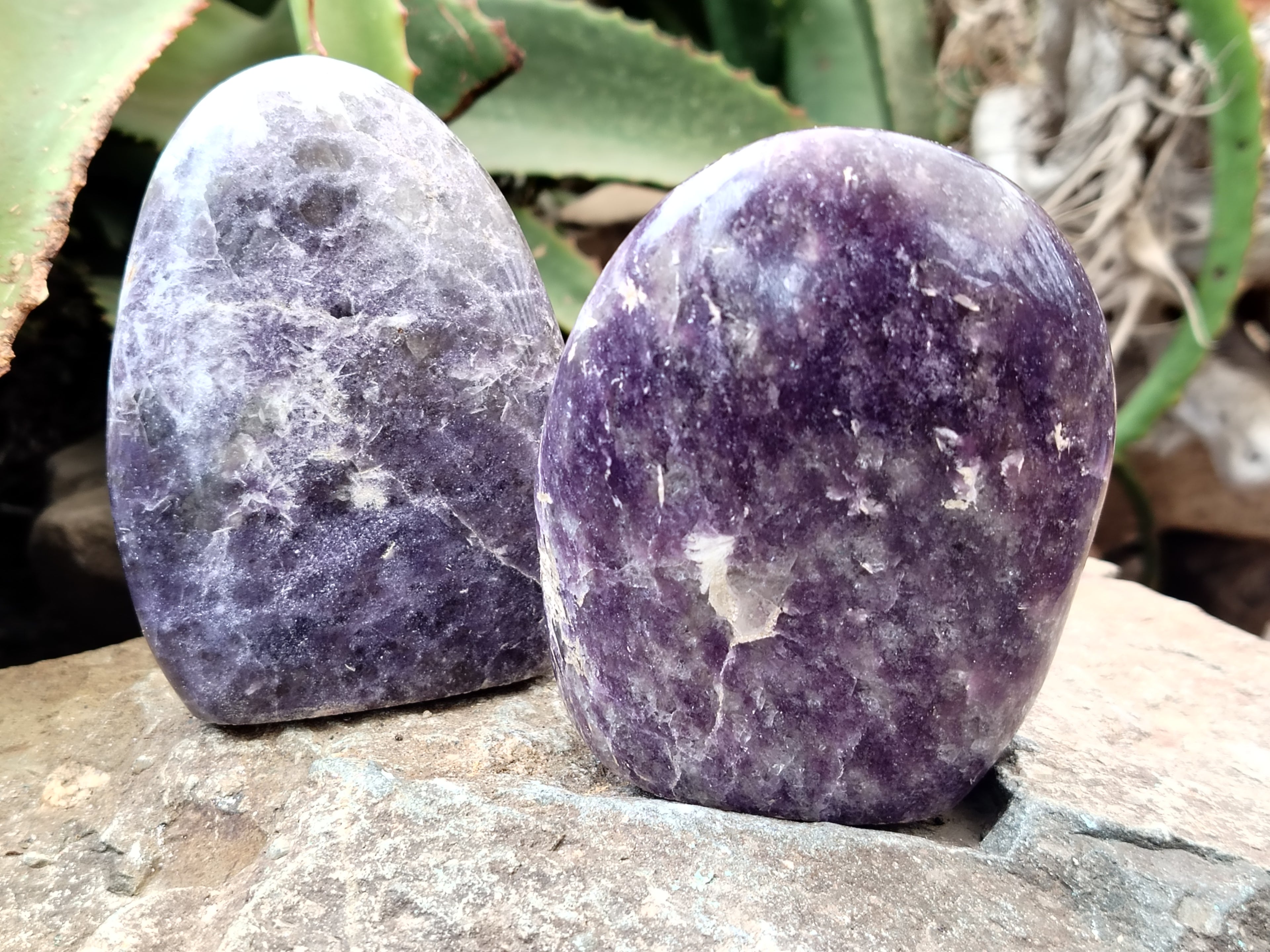 Polished Lepidolite Standing Free Forms x 6 From Ambatondrazaka, Madagascar - Toprock Gemstones and Minerals 