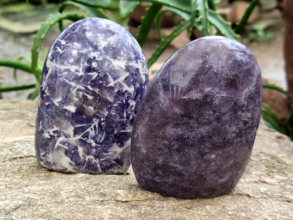 Polished Lepidolite Standing Free Forms x 6 From Ambatondrazaka, Madagascar - Toprock Gemstones and Minerals 