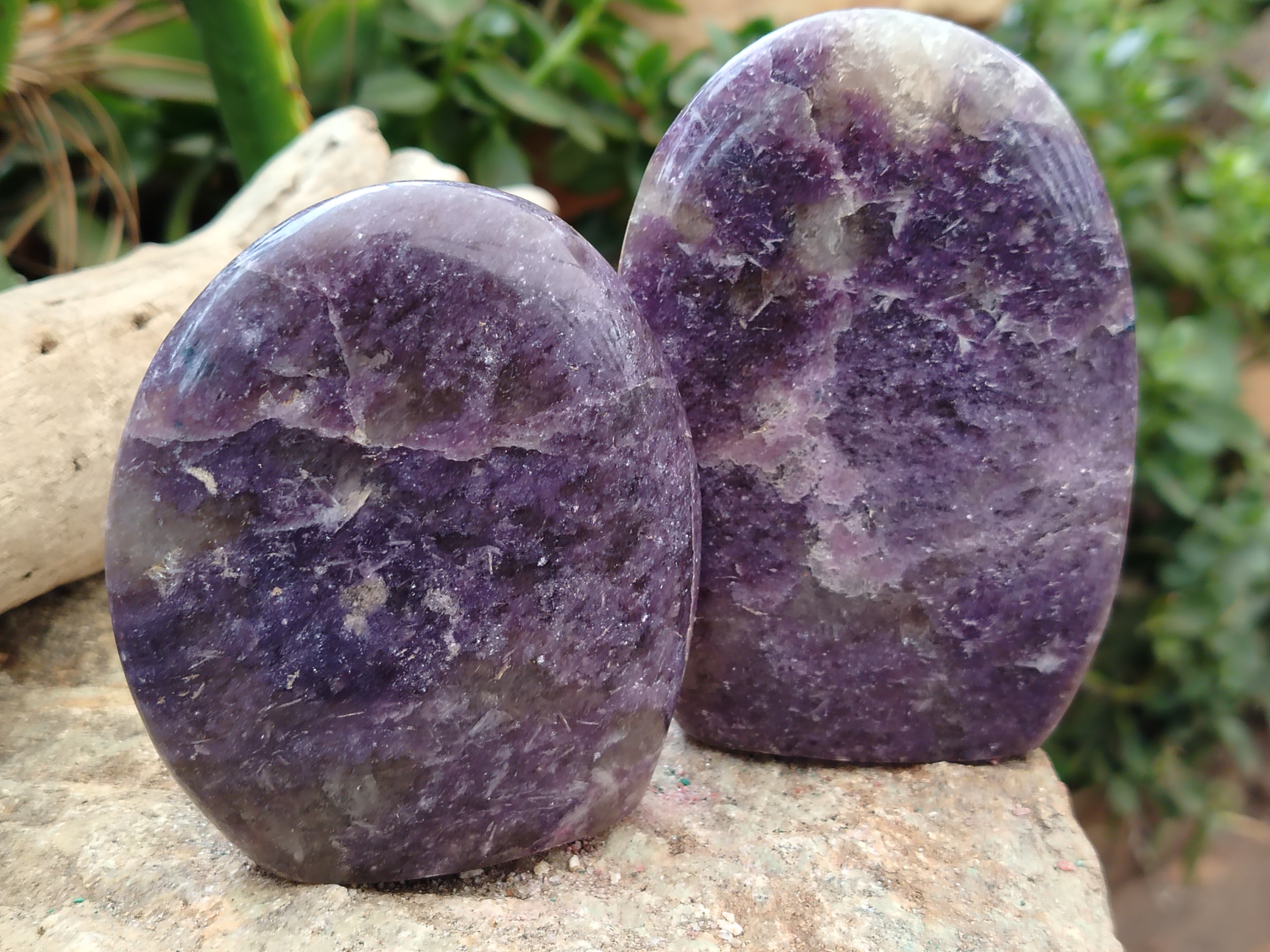 Polished Lepidolite Standing Free Forms x 6 From Ambatondrazaka, Madagascar - Toprock Gemstones and Minerals 