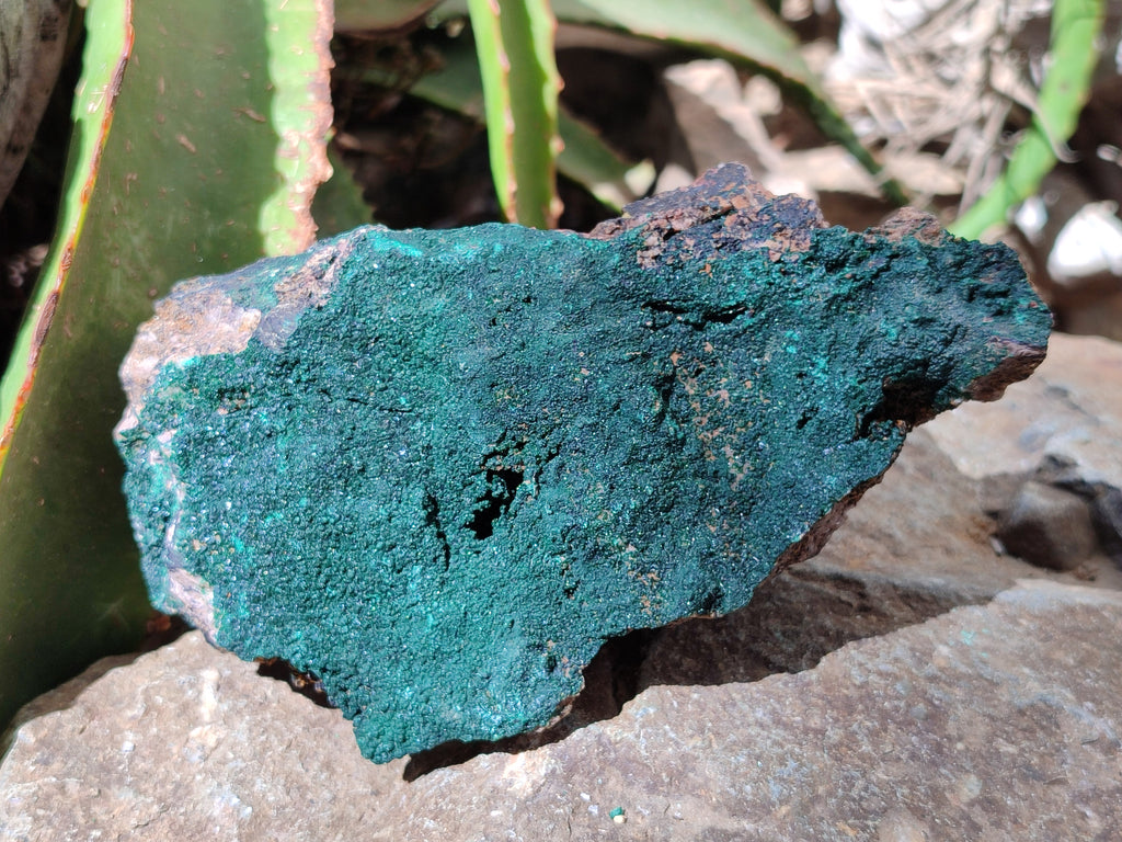 Natural Botryoidal Malachite Specimens x 2 From Congo - Toprock Gemstones and Minerals 