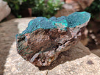 Natural Botryoidal Malachite Specimens x 2 From Congo - Toprock Gemstones and Minerals 