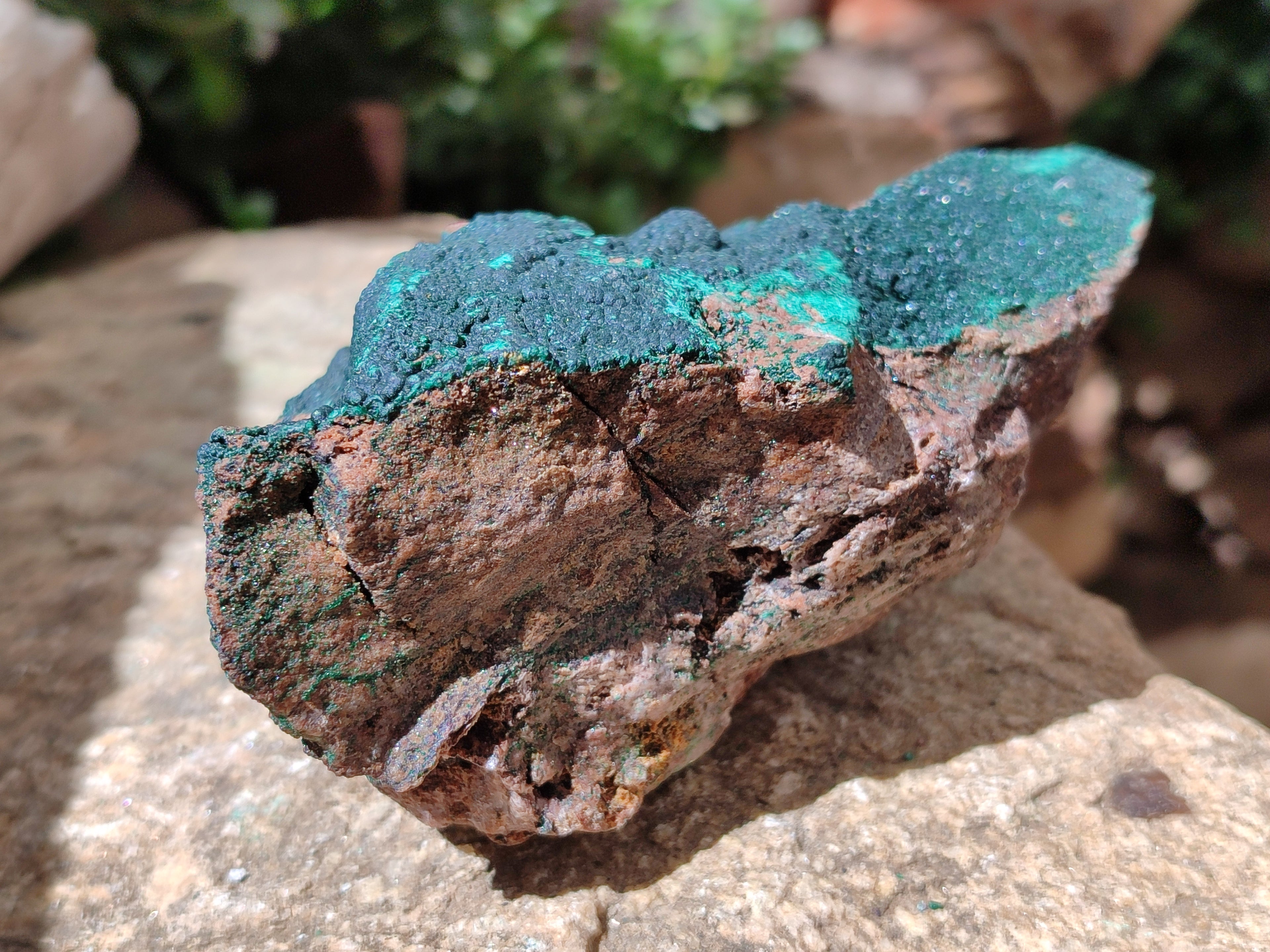 Natural Botryoidal Malachite Specimens x 2 From Congo - Toprock Gemstones and Minerals 