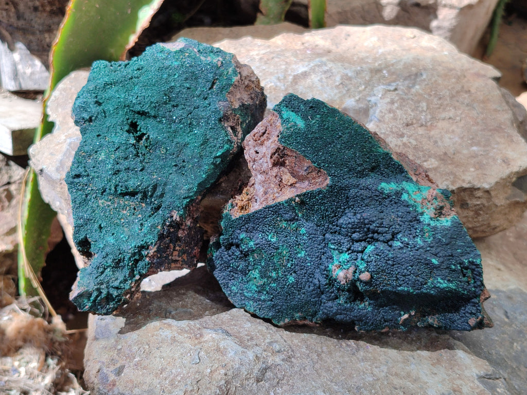 Natural Botryoidal Malachite Specimens x 2 From Congo - Toprock Gemstones and Minerals 