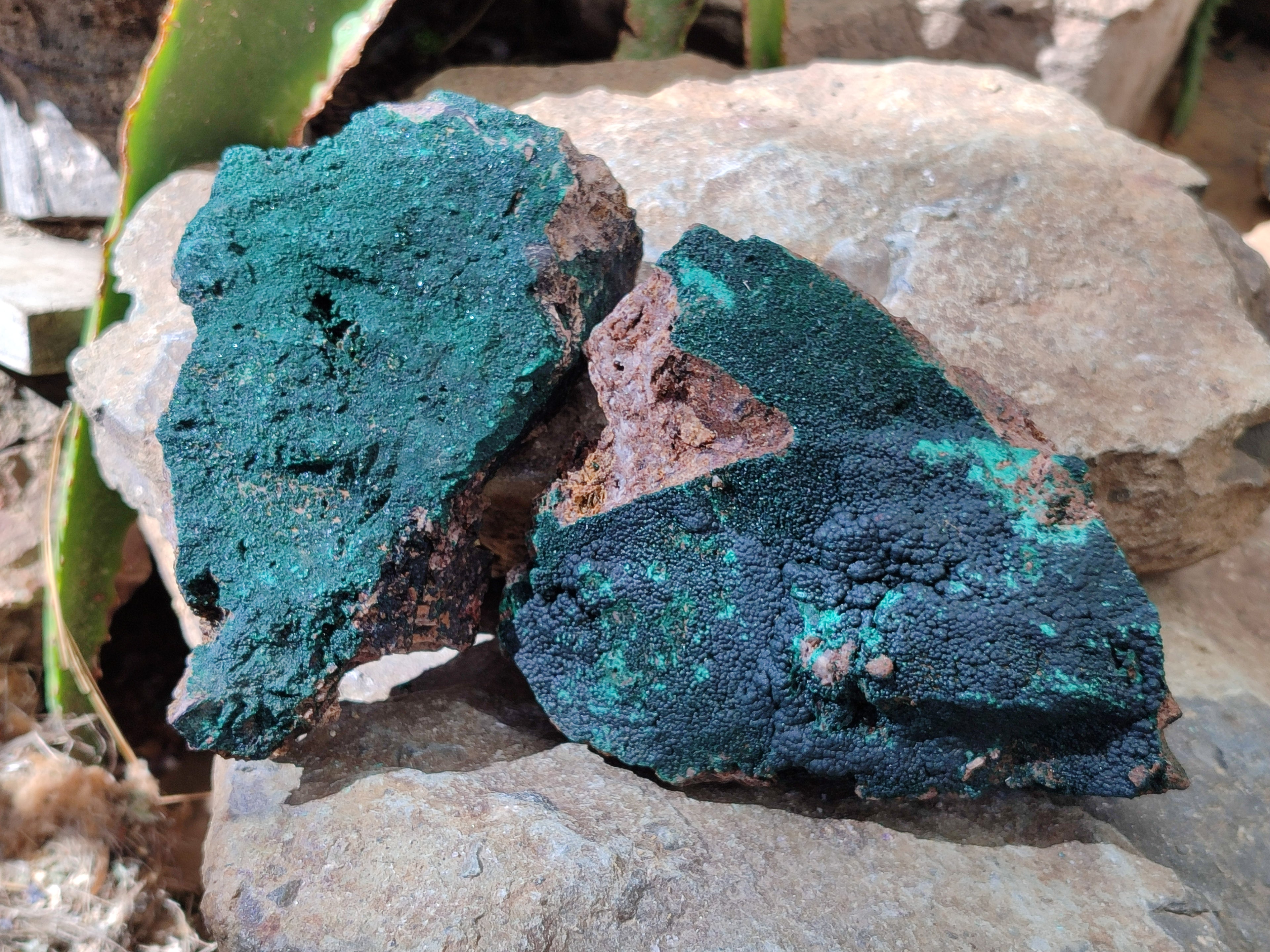 Natural Botryoidal Malachite Specimens x 2 From Congo - Toprock Gemstones and Minerals 