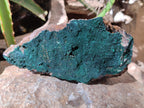 Natural Botryoidal Malachite Specimens x 2 From Congo - Toprock Gemstones and Minerals 