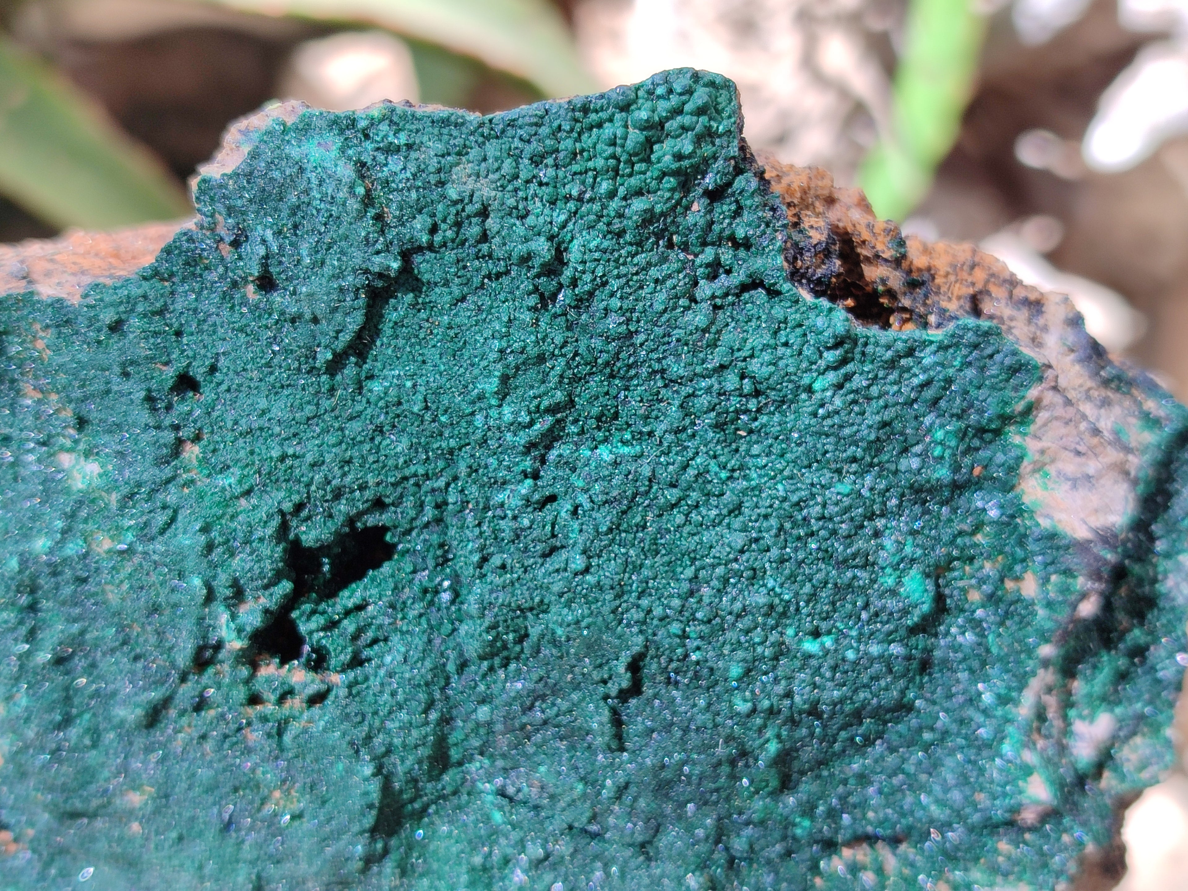 Natural Botryoidal Malachite Specimens x 2 From Congo - Toprock Gemstones and Minerals 