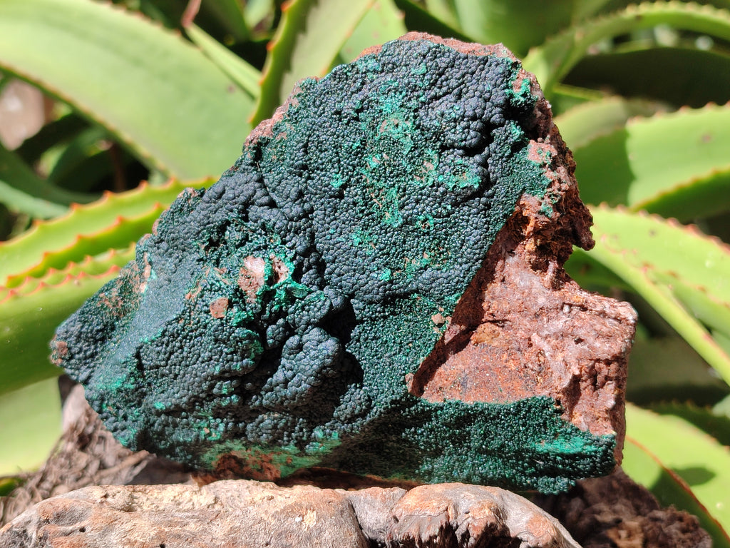 Natural Botryoidal Malachite Specimens x 2 From Congo - Toprock Gemstones and Minerals 