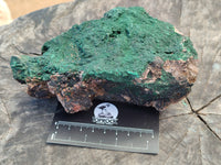 Natural Botryoidal Malachite Specimens x 2 From Congo - Toprock Gemstones and Minerals 