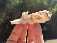 Natural Drusy Quartz Coated Calcite Pseudomorph Specimens x 12 From Alberts Mountain, Lesotho - Toprock Gemstones and Minerals 