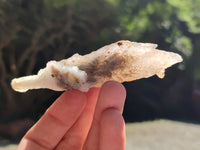 Natural Drusy Quartz Coated Calcite Pseudomorph Specimens x 12 From Alberts Mountain, Lesotho - Toprock Gemstones and Minerals 
