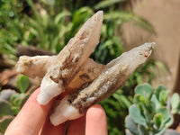 Natural Drusy Quartz Coated Calcite Pseudomorph Specimens x 12 From Alberts Mountain, Lesotho - Toprock Gemstones and Minerals 