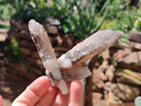 Natural Drusy Quartz Coated Calcite Pseudomorph Specimens x 12 From Alberts Mountain, Lesotho - Toprock Gemstones and Minerals 