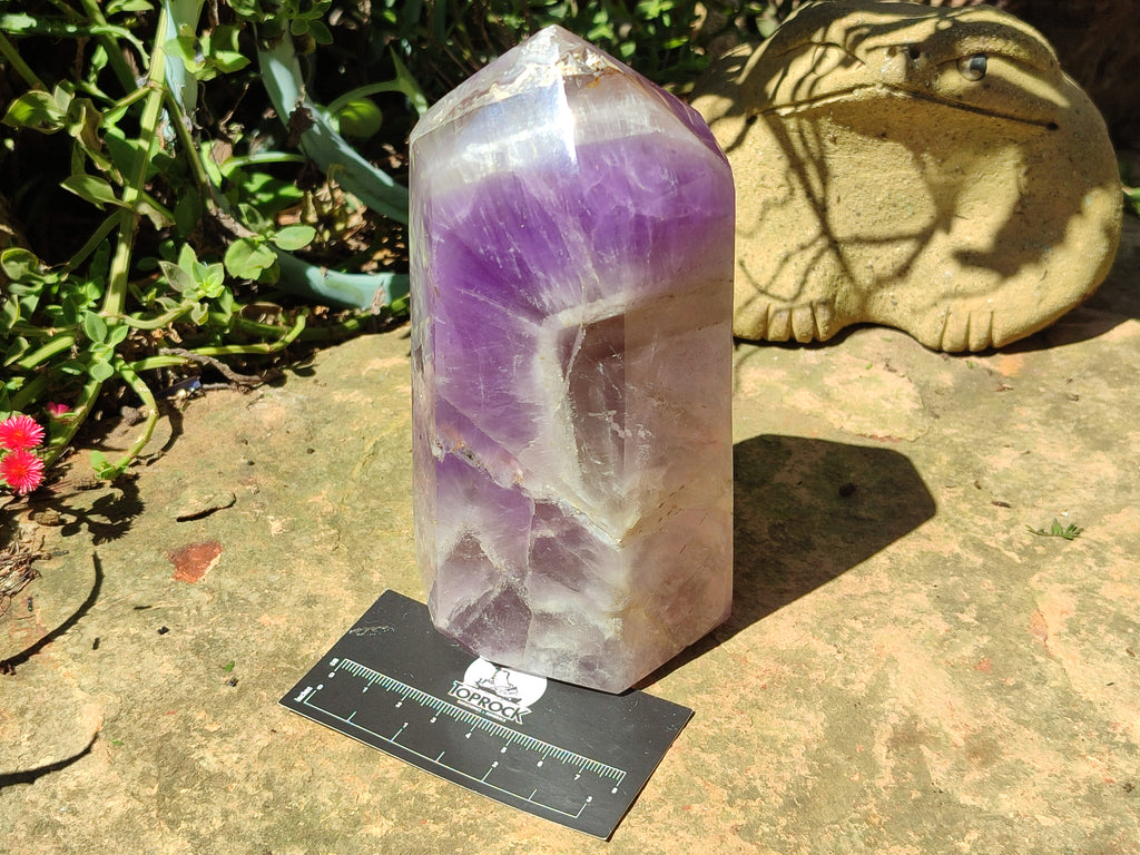 Polished Chevron Amethyst Point x 1 from Madagascar - Toprock Gemstones and Minerals 
