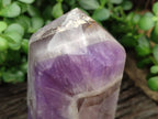 Polished Chevron Amethyst Point x 1 from Madagascar - Toprock Gemstones and Minerals 