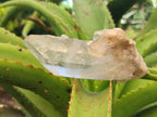 Natural Clear Quartz Crystals x 14 From Madagascar - Toprock Gemstones and Minerals 