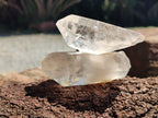 Natural Clear Quartz Crystals x 14 From Madagascar - Toprock Gemstones and Minerals 