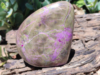 Polished Stichtite Standing Free Forms x 4 From Barberton, South Africa - Toprock Gemstones and Minerals 