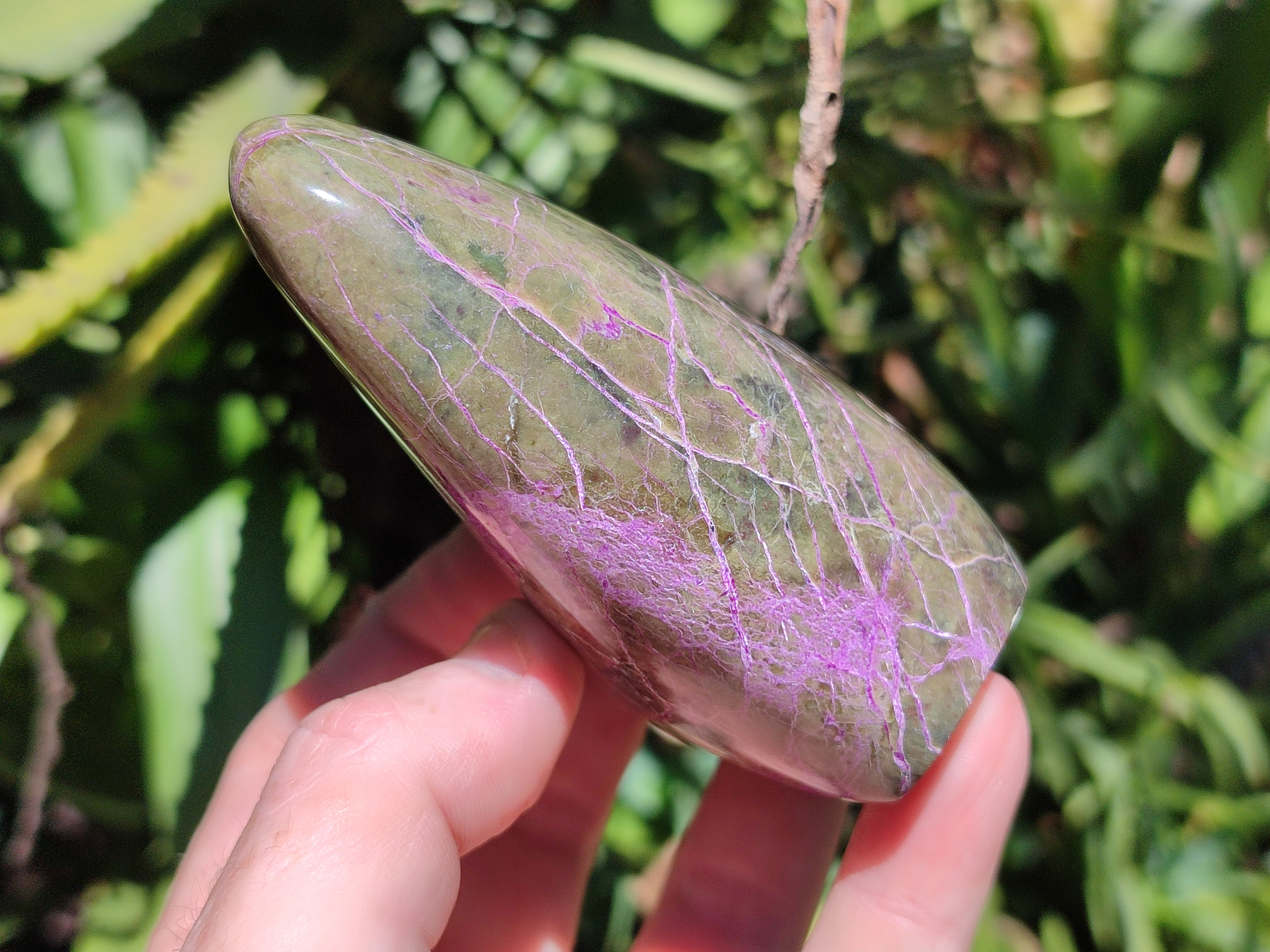 Polished Stichtite Standing Free Forms x 4 From Barberton, South Africa - Toprock Gemstones and Minerals 
