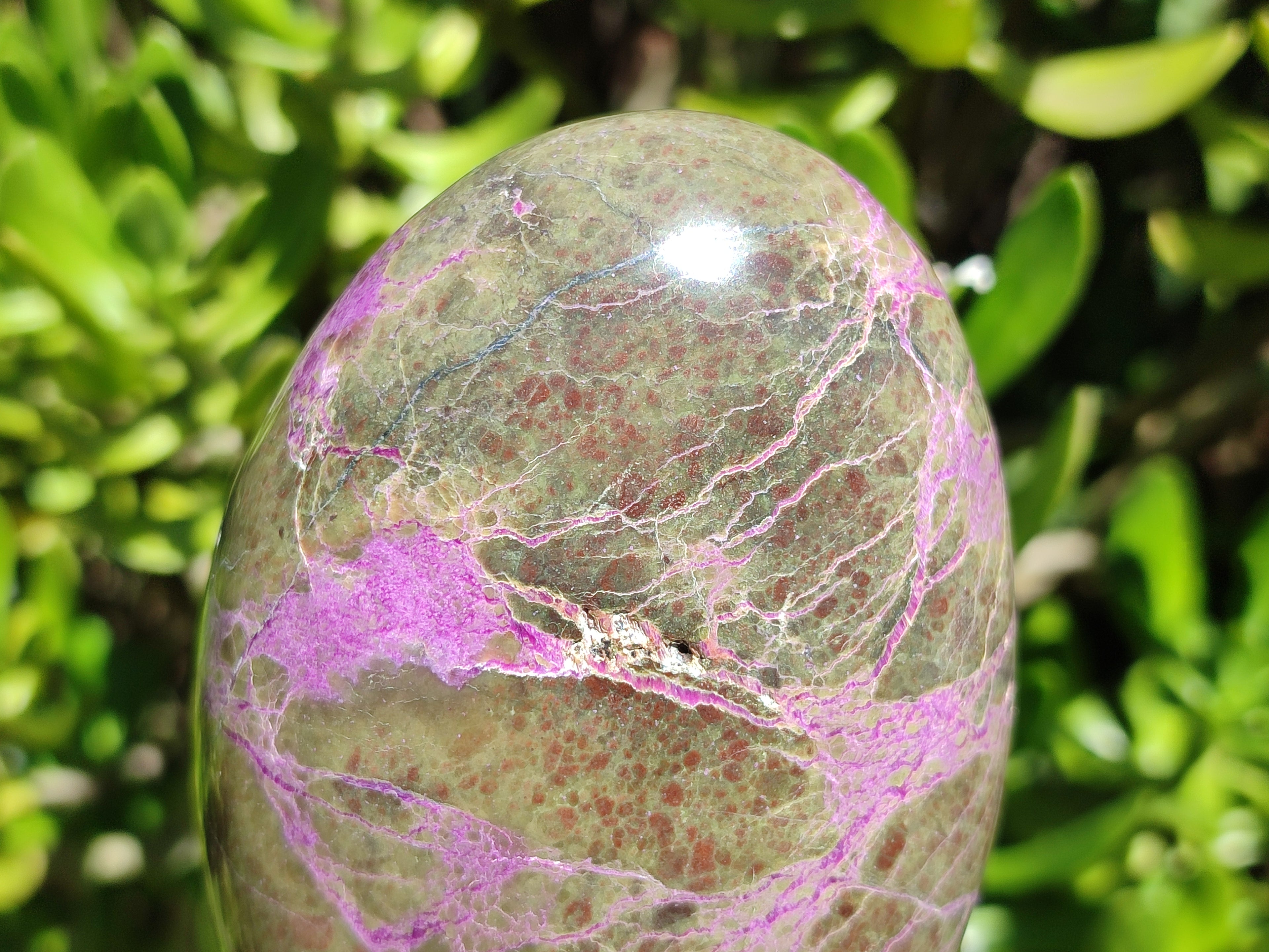 Polished Stichtite Standing Free Forms x 4 From Barberton, South Africa - Toprock Gemstones and Minerals 