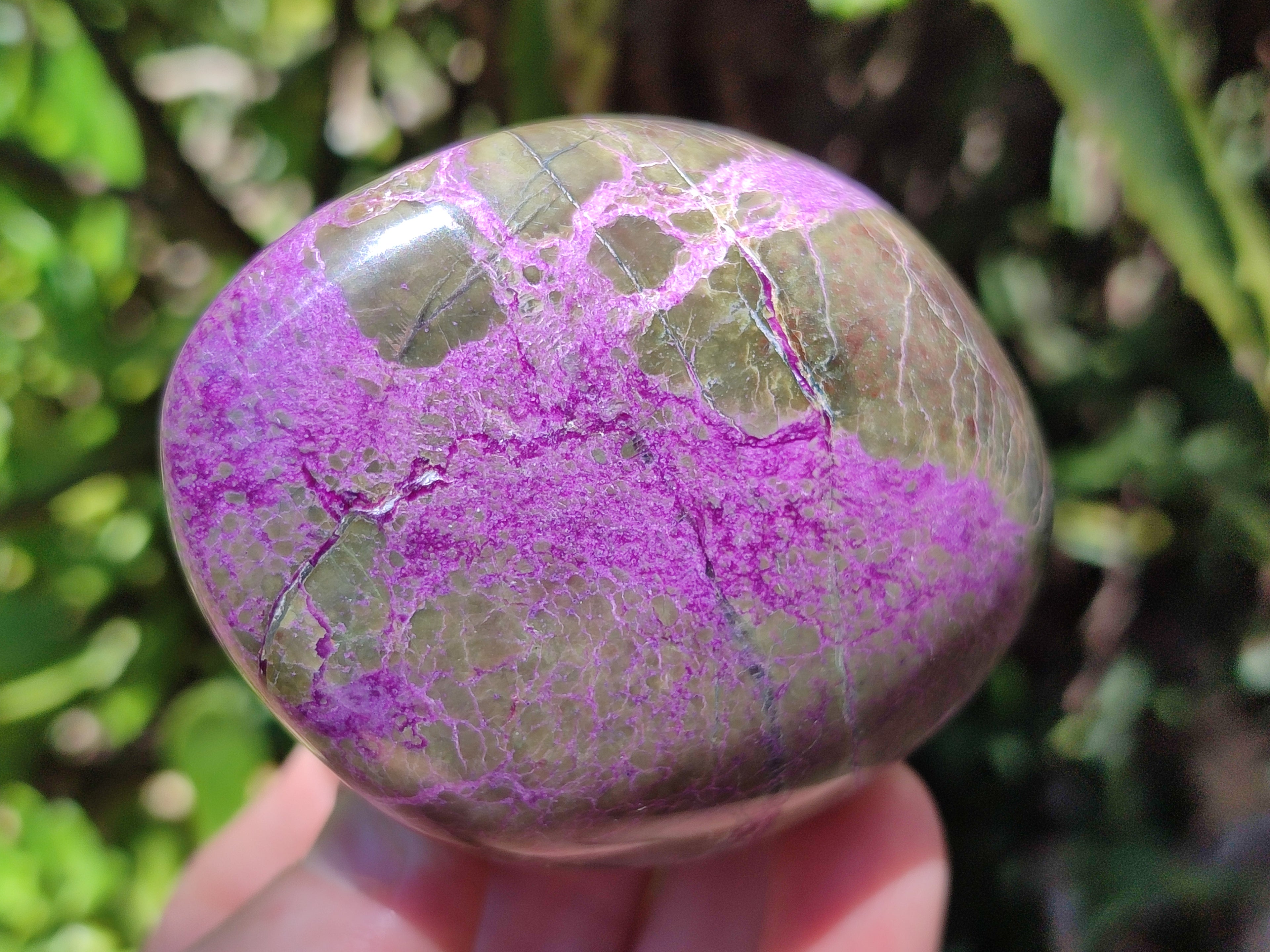 Polished Stichtite Standing Free Forms x 4 From Barberton, South Africa - Toprock Gemstones and Minerals 