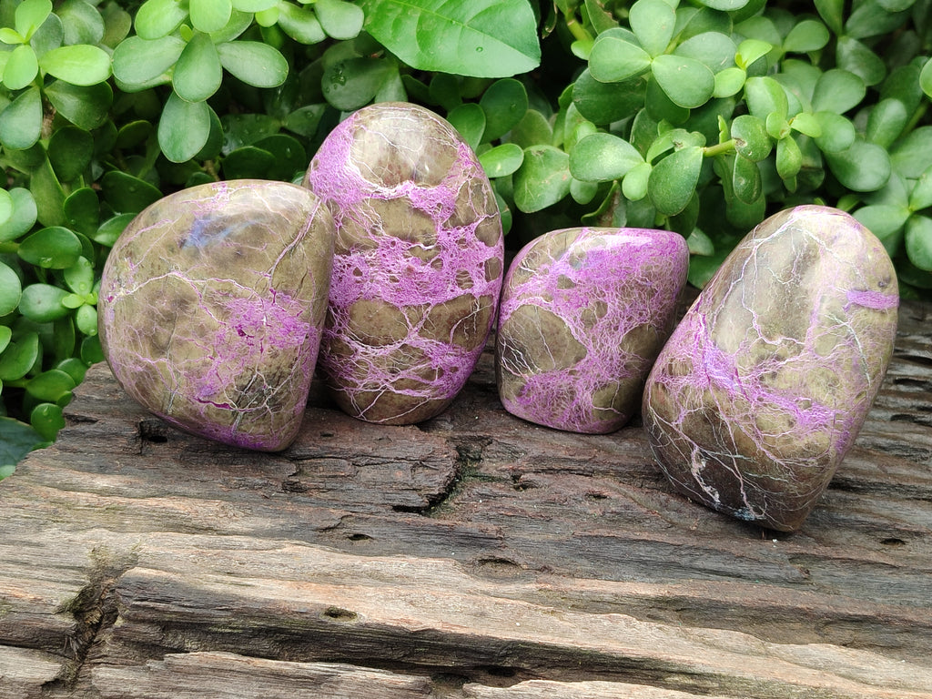 Polished Stichtite Standing Free Forms x 4 From Barberton, South Africa - Toprock Gemstones and Minerals 