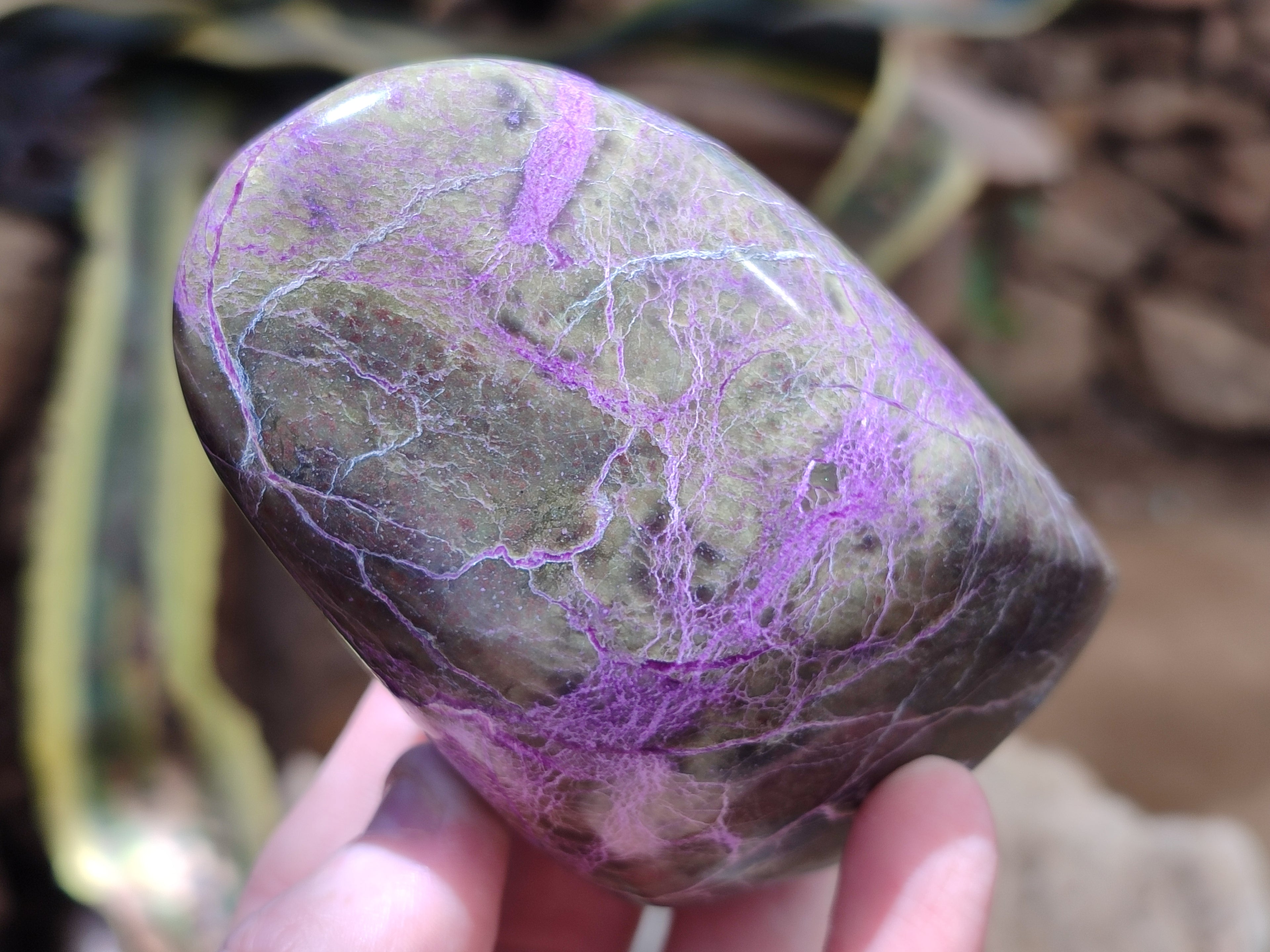 Polished Stichtite Standing Free Forms x 4 From Barberton, South Africa - Toprock Gemstones and Minerals 