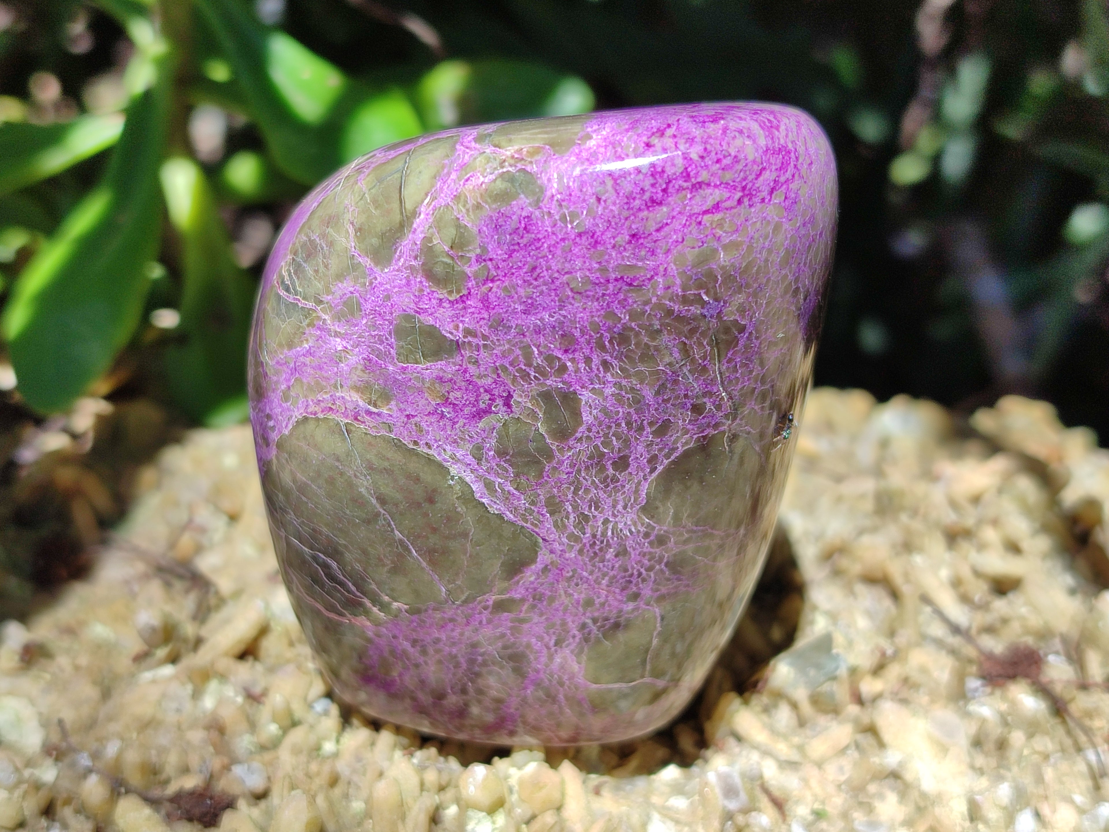Polished Stichtite Standing Free Forms x 4 From Barberton, South Africa - Toprock Gemstones and Minerals 