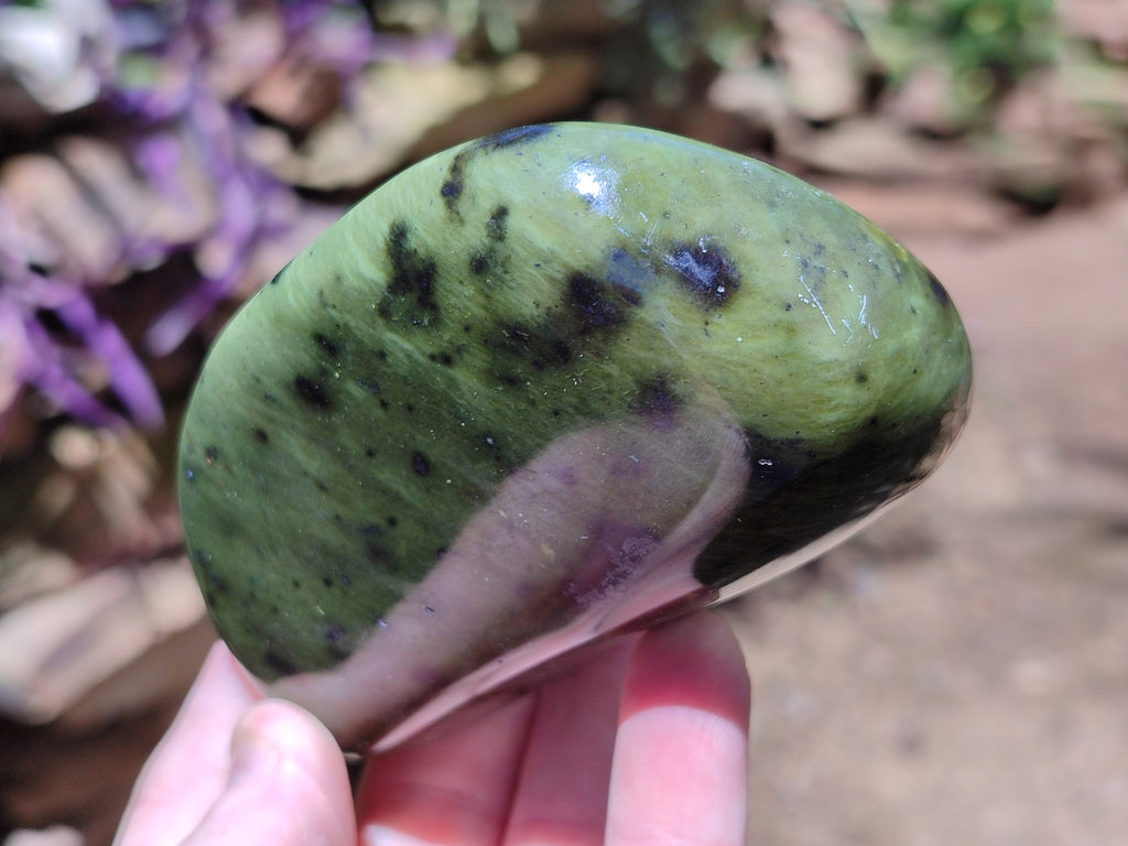 Polished Leopard Stone Free Forms x 5 From Nyanga, Zimbabwe - Toprock Gemstones and Minerals 