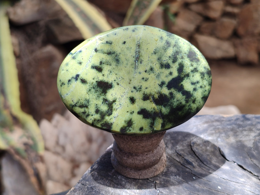 Leopard Spot Rocks Polished Leopard Stone Free Forms x 5 From Nyanga, Zimbabwe – Toprock ...