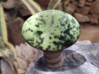 Polished Leopard Stone Free Forms x 5 From Nyanga, Zimbabwe - Toprock Gemstones and Minerals 