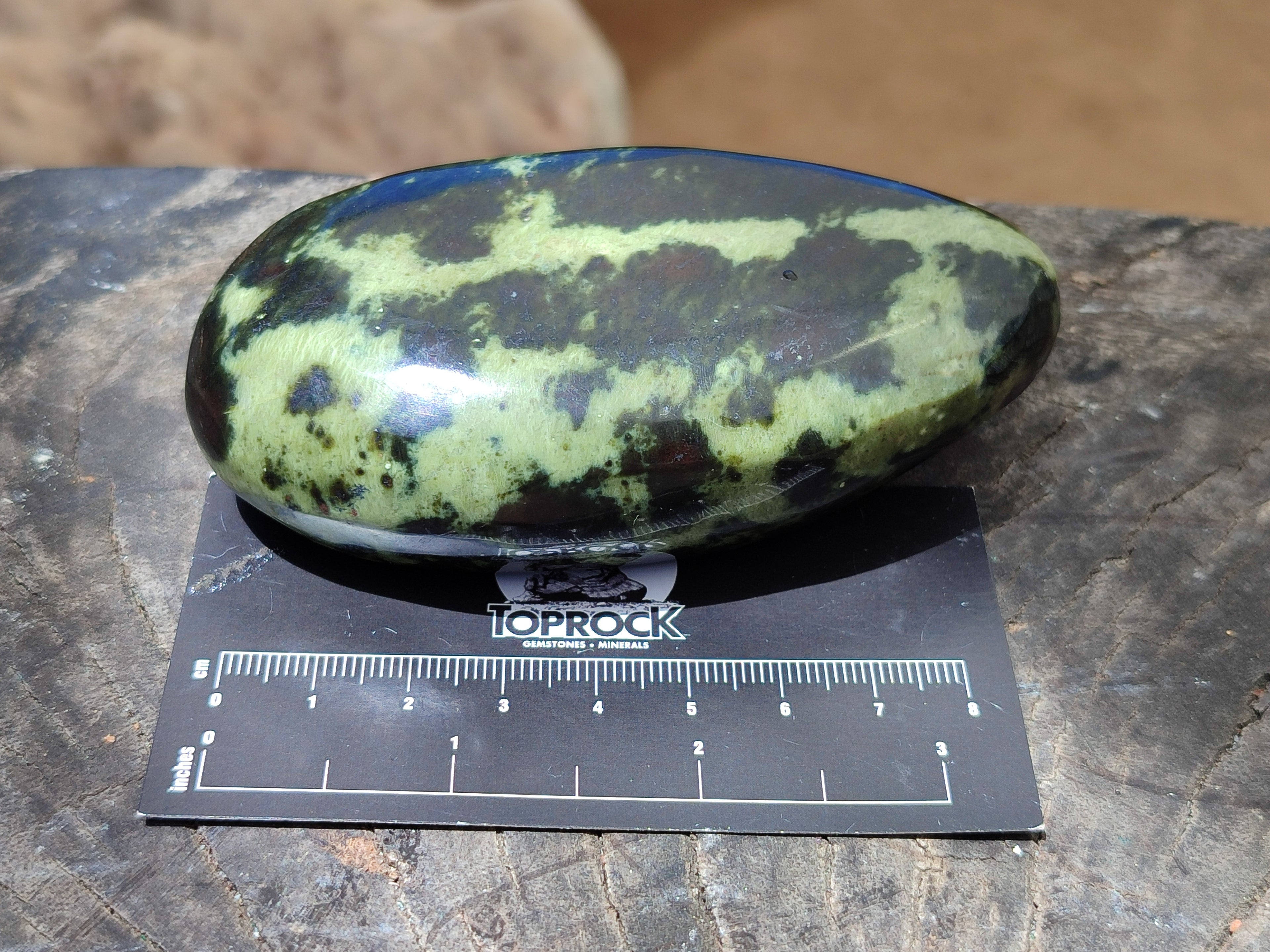 Polished Leopard Stone Free Forms x 5 From Nyanga, Zimbabwe - Toprock Gemstones and Minerals 